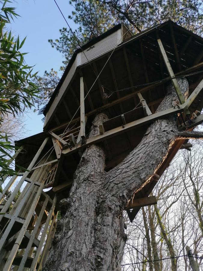 Sherwood Tree エトルタ エクステリア 写真
