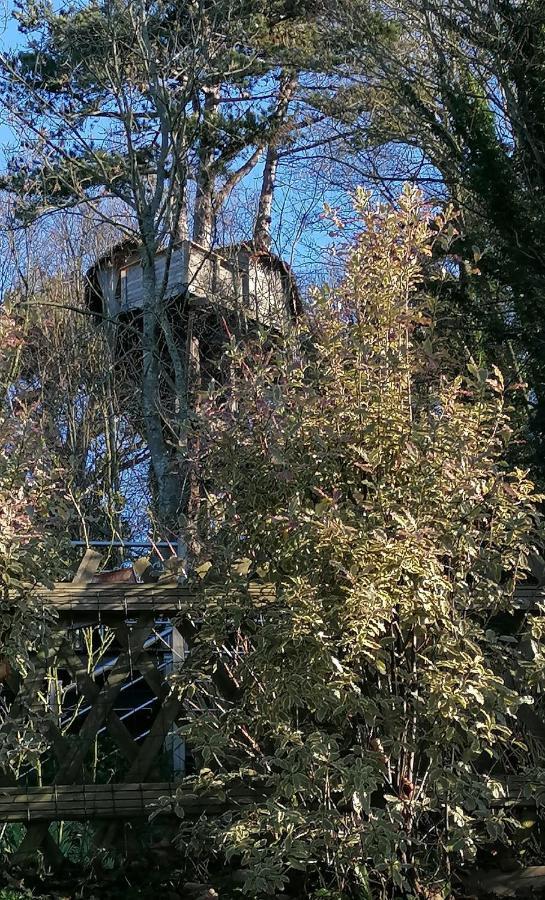 Sherwood Tree エトルタ エクステリア 写真