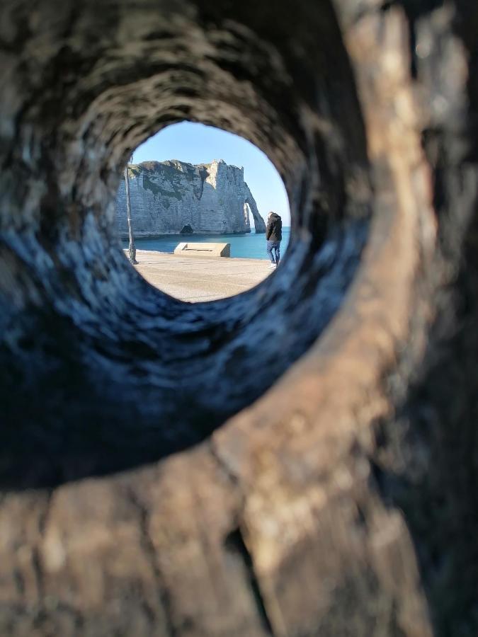 Sherwood Tree エトルタ エクステリア 写真