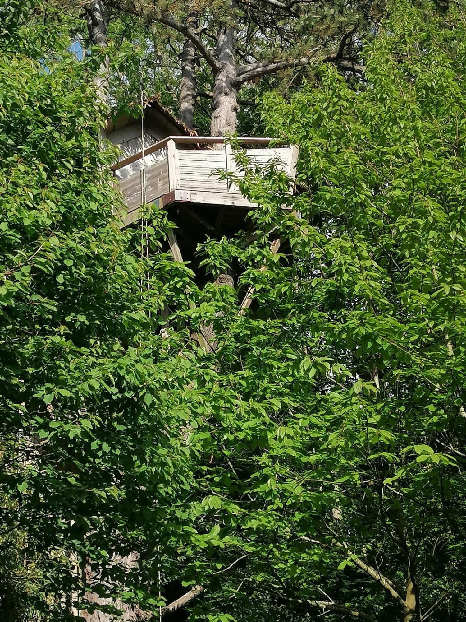 Sherwood Tree エトルタ エクステリア 写真